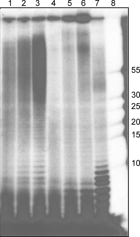 FIG. 9.