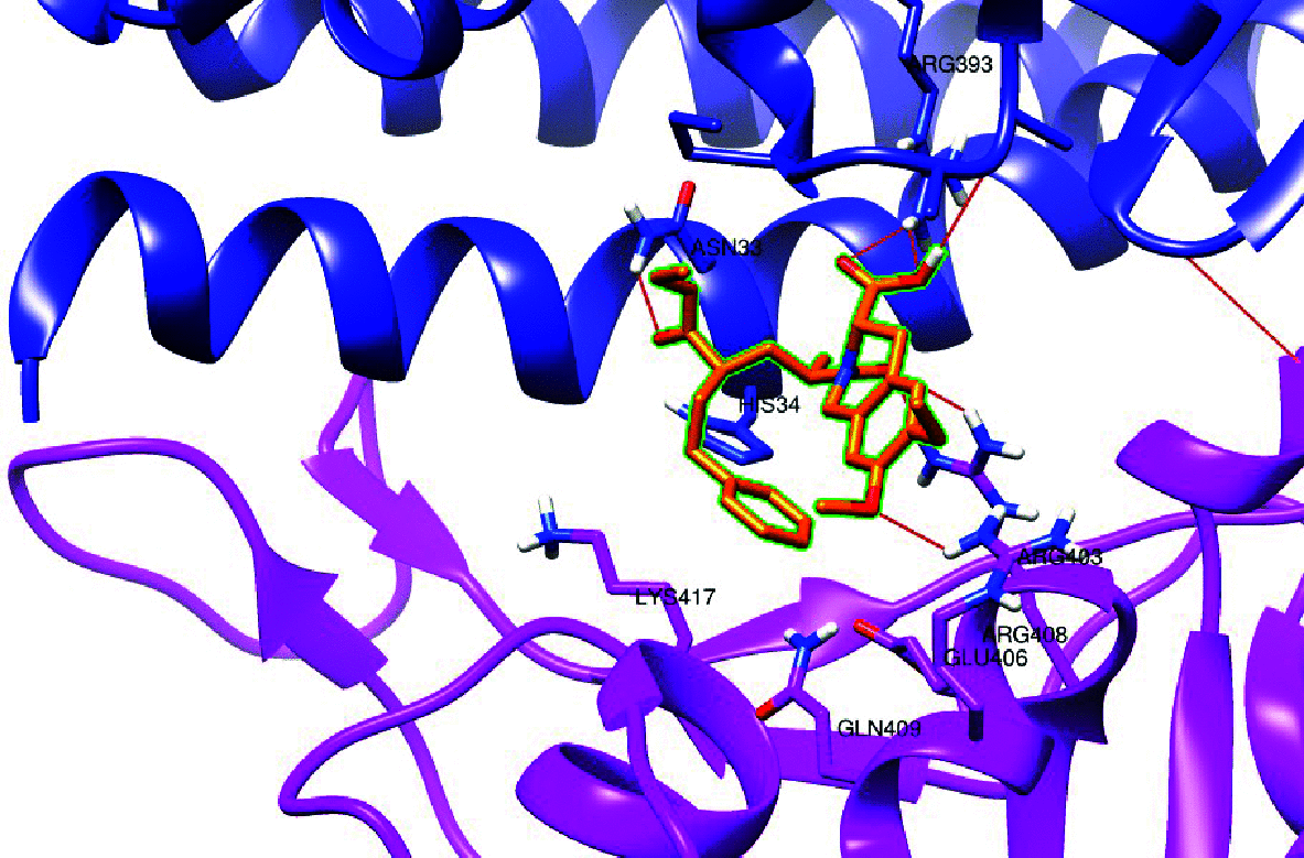 graphic file with name 40203_2021_114_Figf_HTML.gif