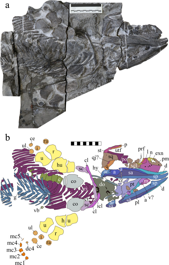 Fig. 2