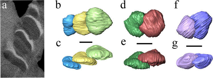 Fig. 7