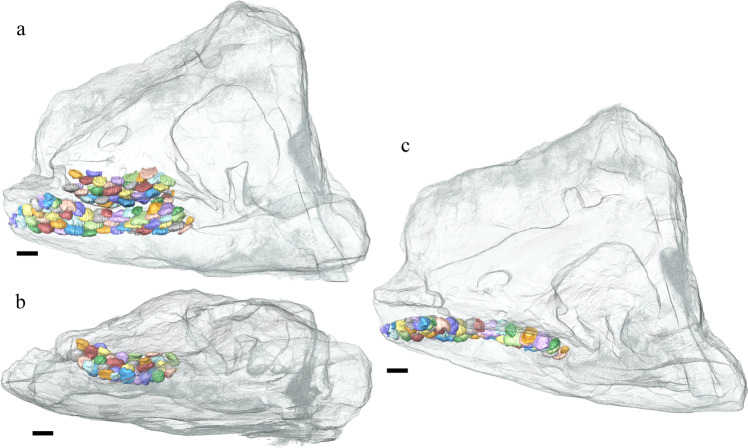 Fig. 5
