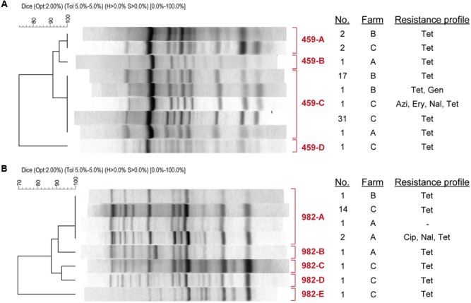 FIGURE 4