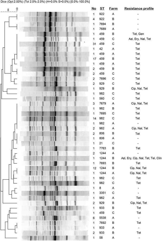 FIGURE 3