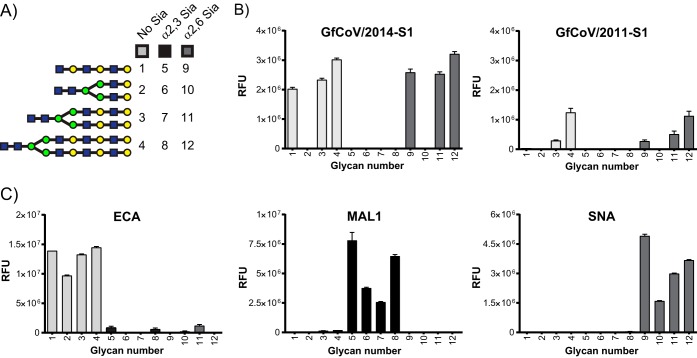 FIG 4