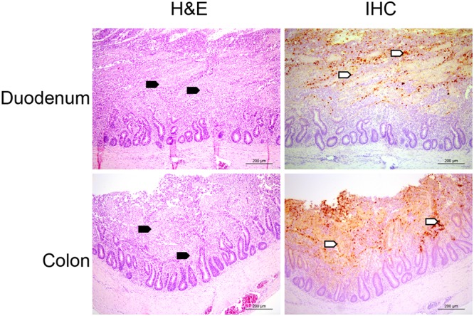 FIG 1