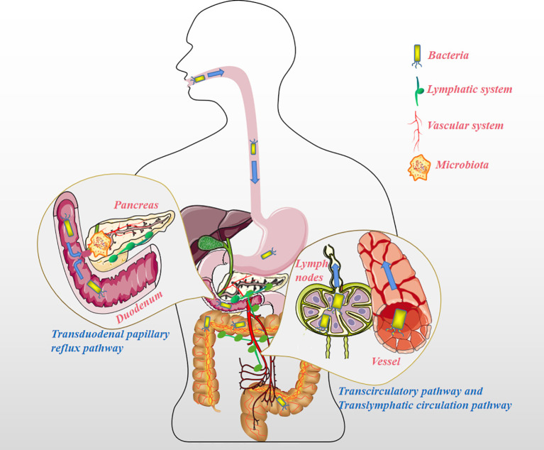 Figure 1