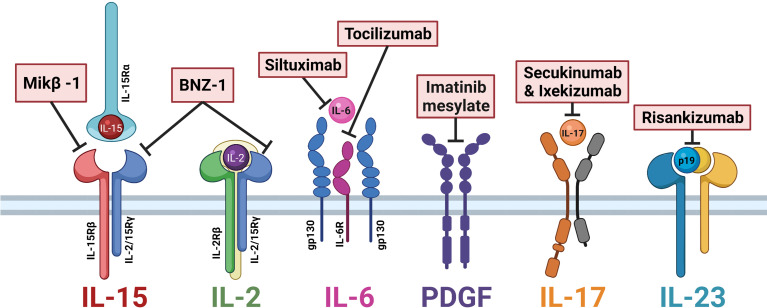 Figure 2