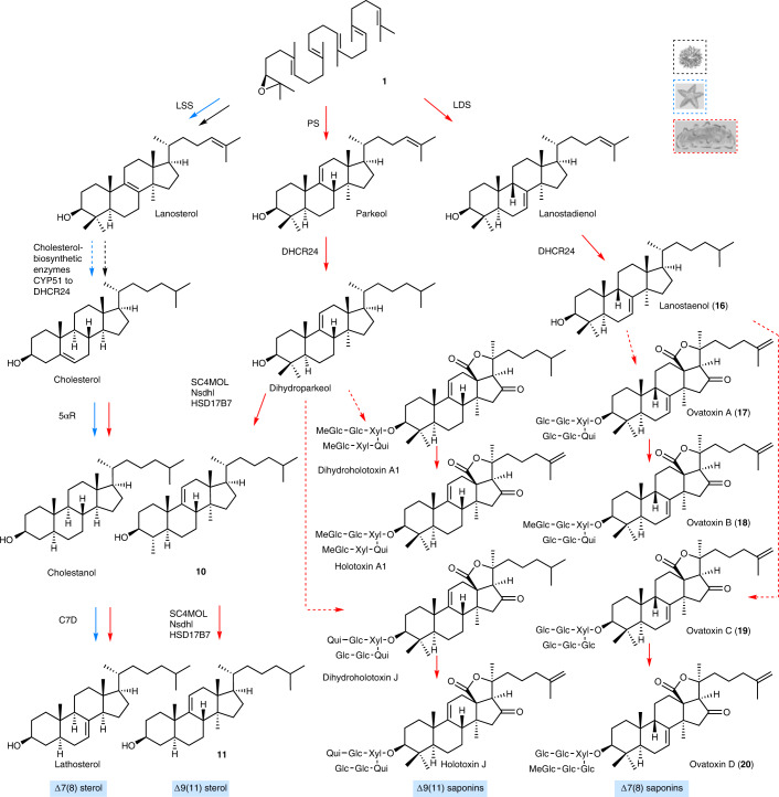 Fig. 3