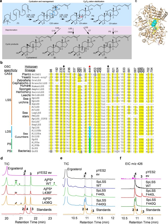 Extended Data Fig. 8