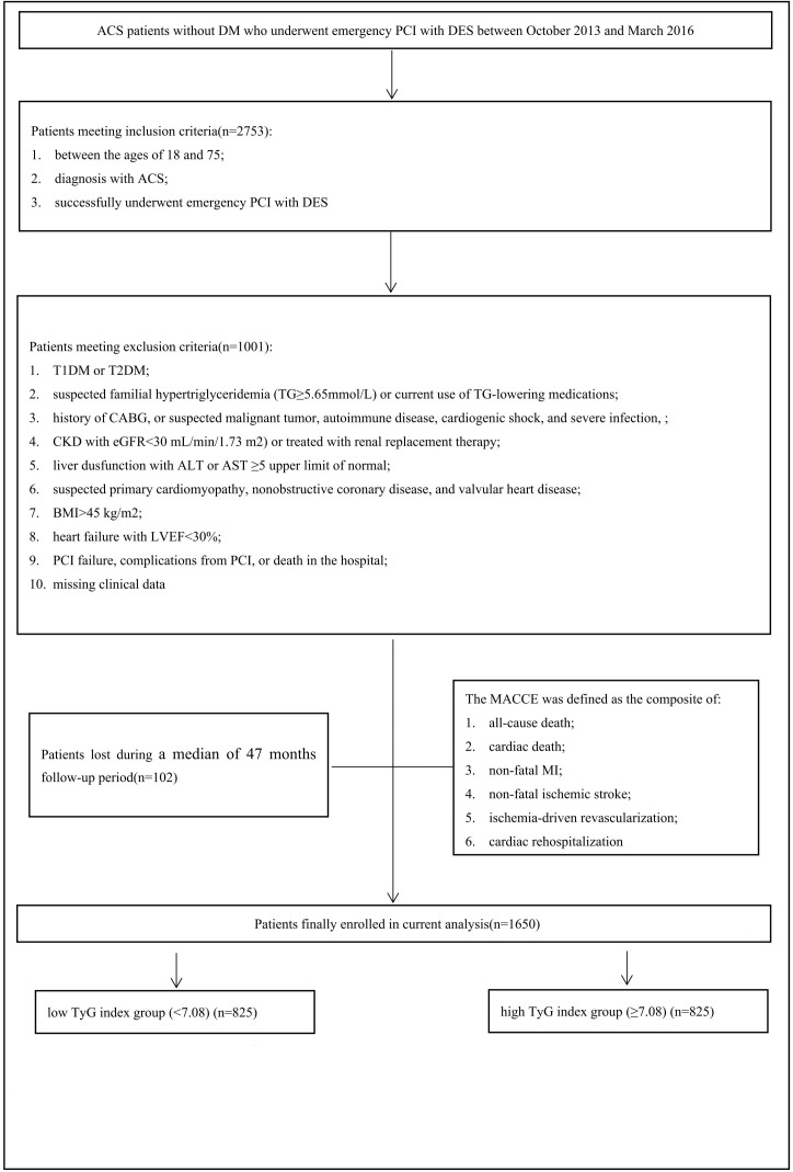 Figure 1