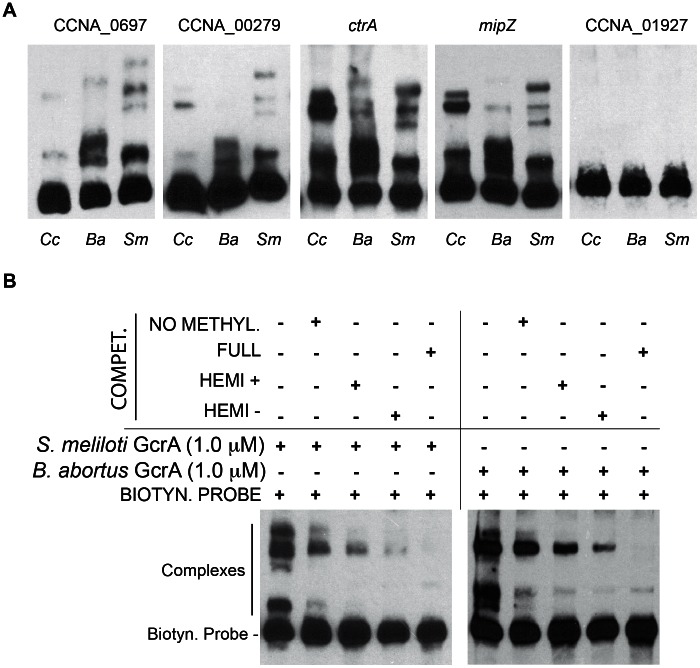 Figure 9