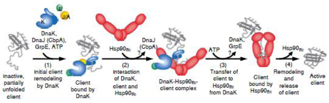 Fig. 7