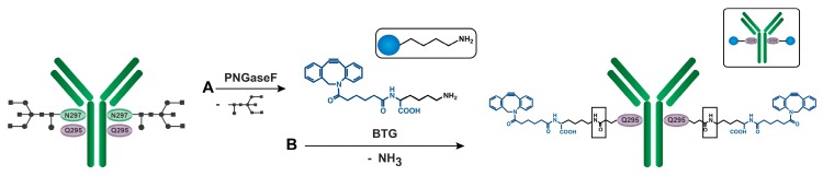 Scheme 3