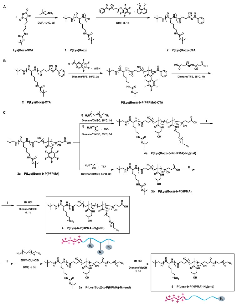 Scheme 2