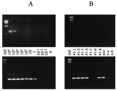 FIG. 1