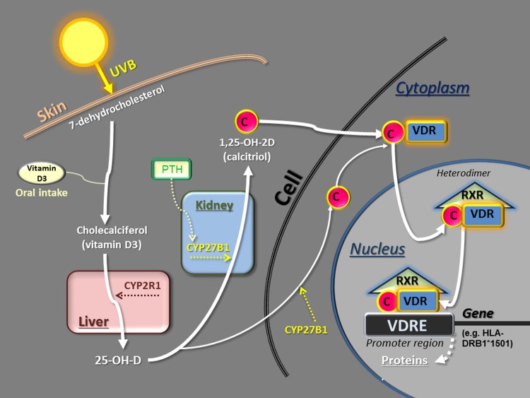 Figure 1.