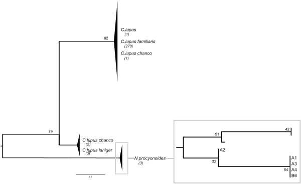 Figure 14