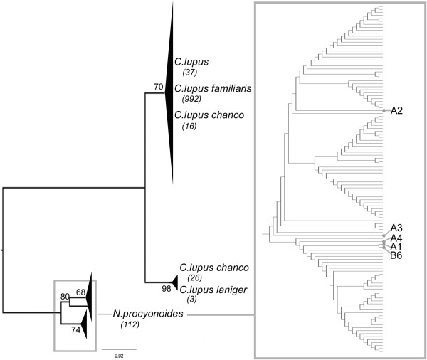 Figure 15