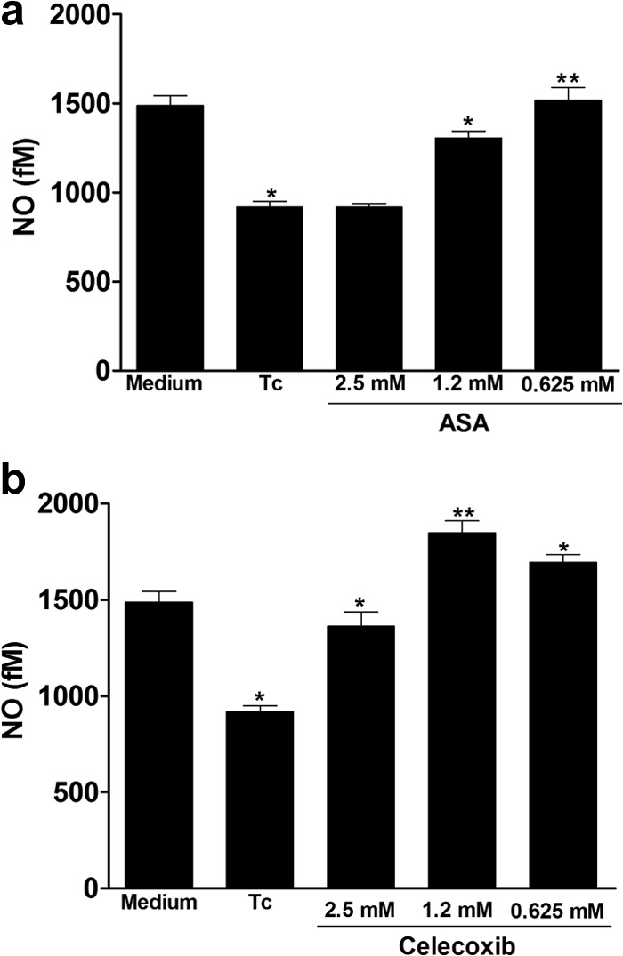 FIG 6