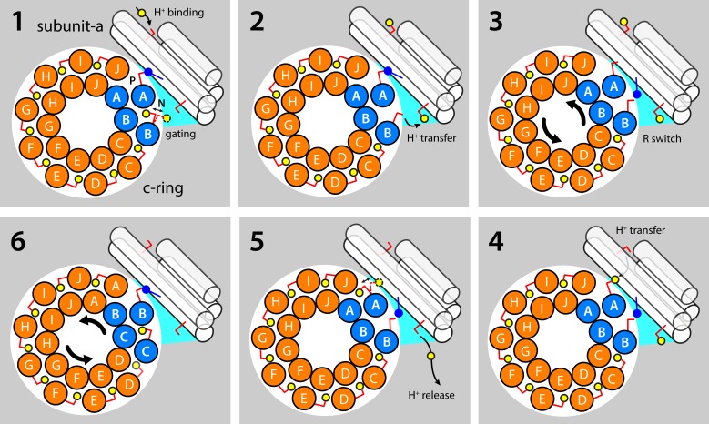 Figure 7.