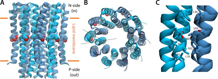 Figure 2.