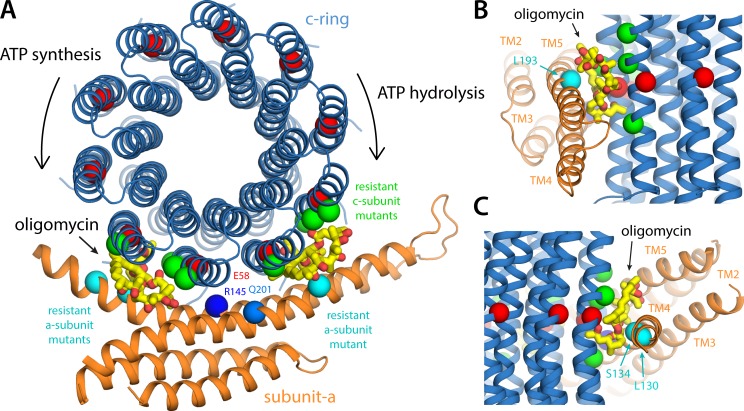 Figure 9.