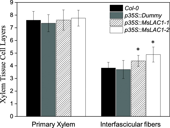 Fig. 10