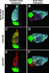 FIG. 8.