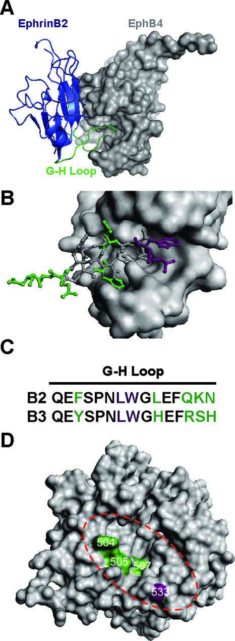 FIG. 7.