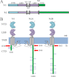 FIGURE 1.