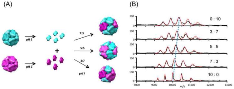 Fig. 11