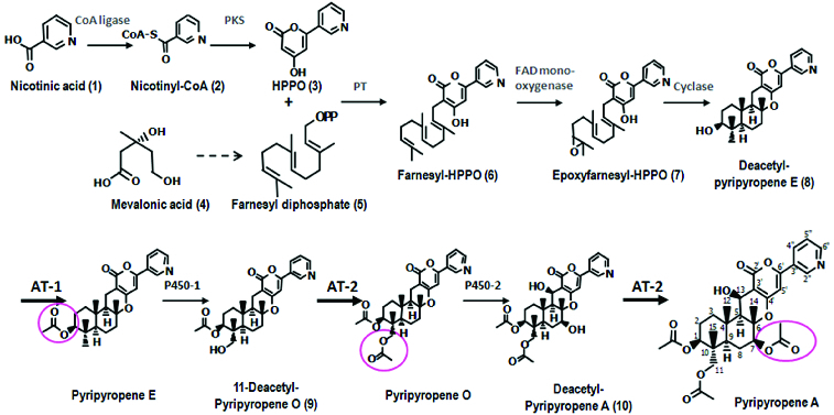 Figure 4. 