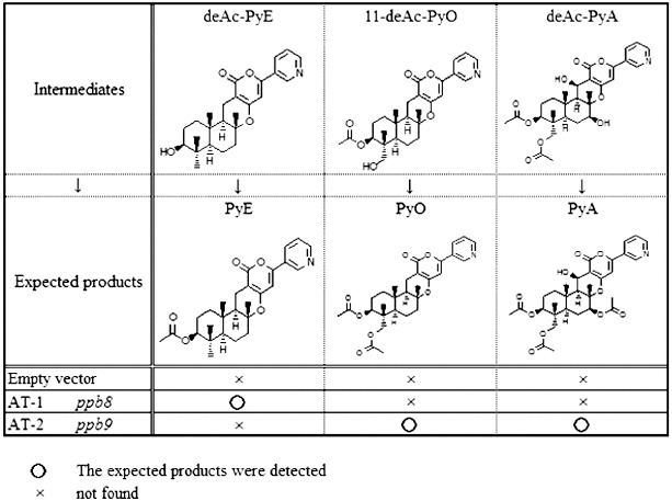 Figure 3. 