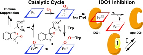 Fig. 8.