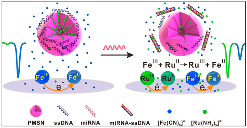 Figure 16