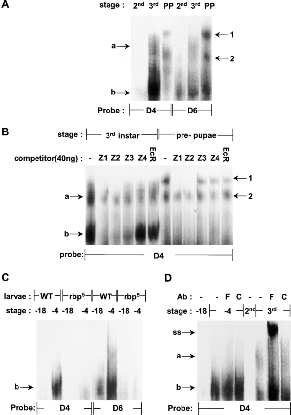 Figure 7.