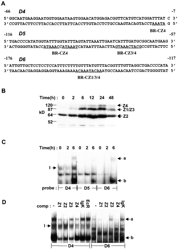 Figure 3.