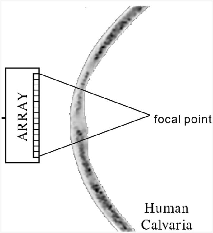 Fig. 9