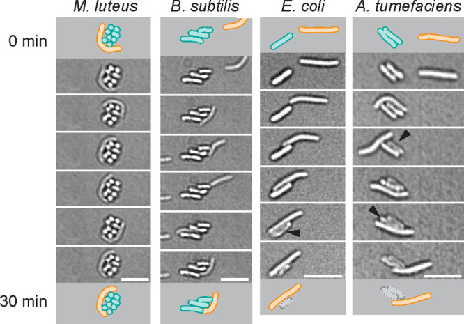 FIG 6