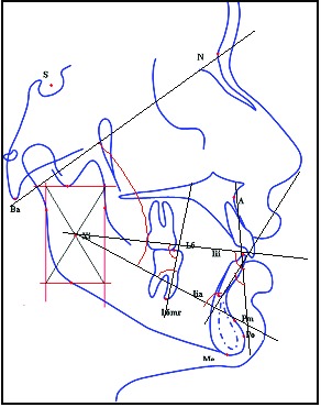 [Table/Fig-6]: