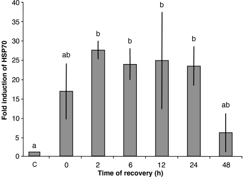 Fig. 3