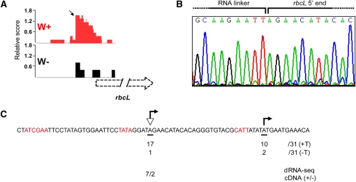 Figure 4.