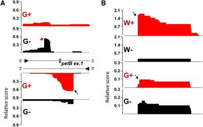 Figure 5.