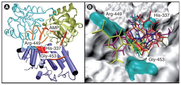 Figure 13