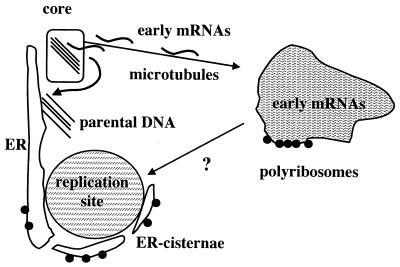 FIG. 10.