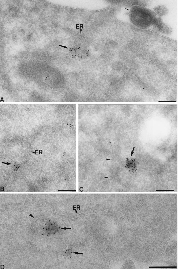 FIG. 8.