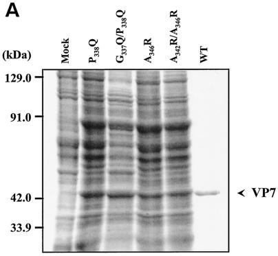 FIG. 5.