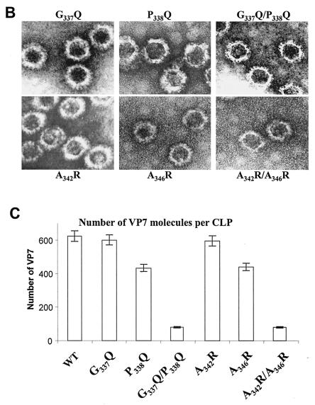 FIG. 5.