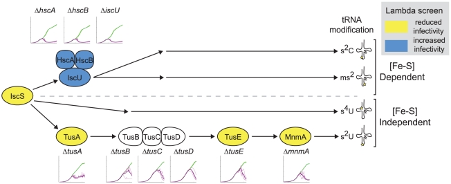 Figure 9