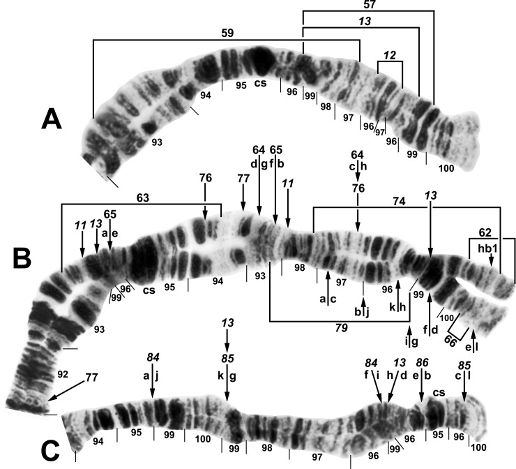 Fig 9